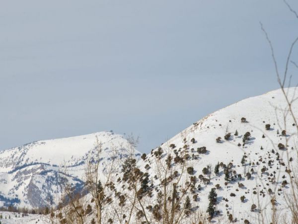 Jackson Hole Wy Home 1005076
