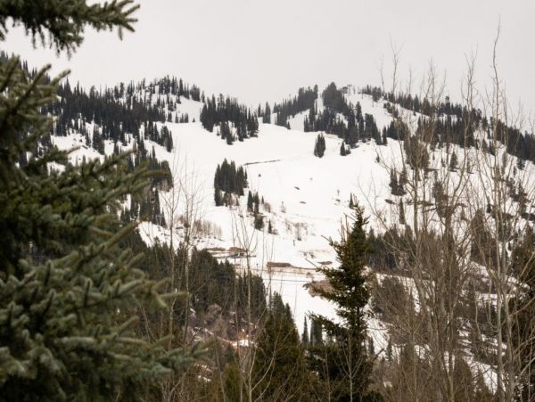 Jackson Hole Wy Home 1005097