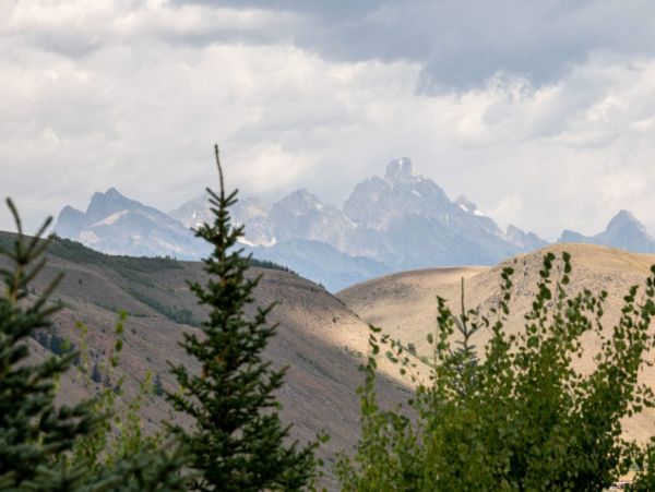 Jackson Hole Wy Home 1005121