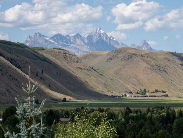 Jackson Hole Wy Home 1005123
