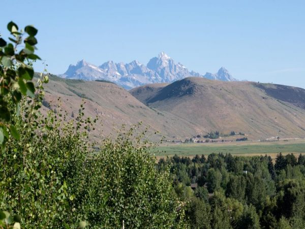 Jackson Hole Wy Home 1005128