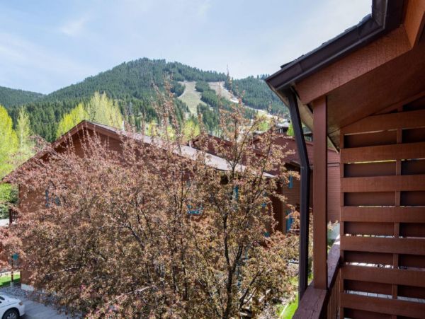 Jackson Hole Wy Home 1005144