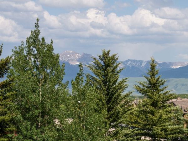 Jackson Hole Wy Home 1005154