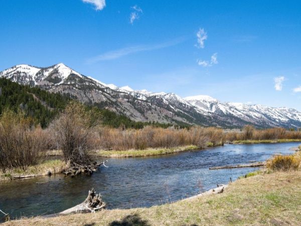 Jackson Hole Wy Home 1005160