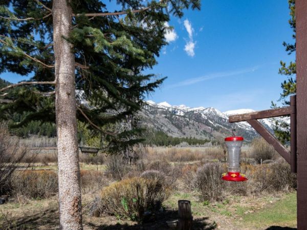 Jackson Hole Wy Home 1005160