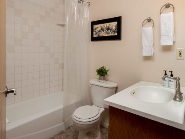 Newly Updated Four Bedroom