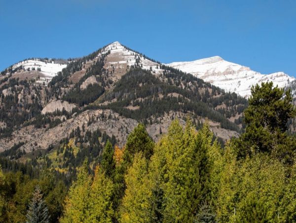 Jackson Hole Wy Home 1005183