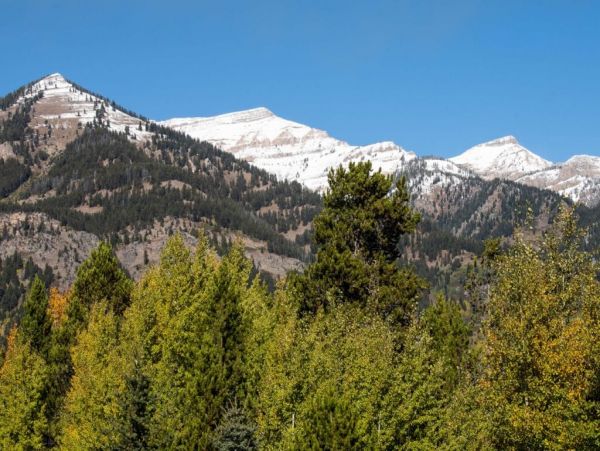 Jackson Hole Wy Home 1005183