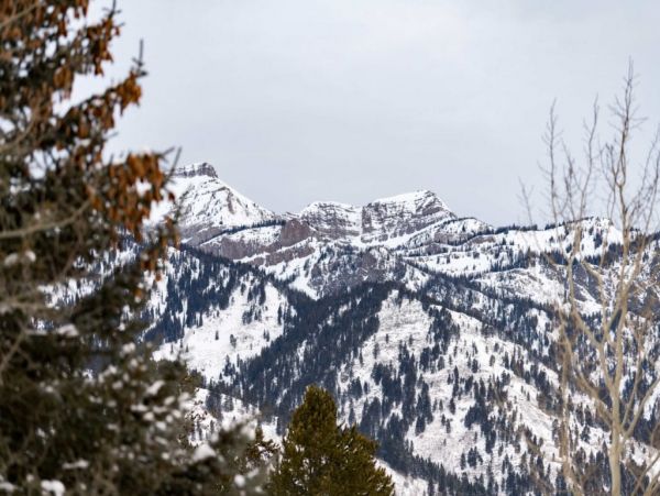 Jackson Hole Wy Home 1005186