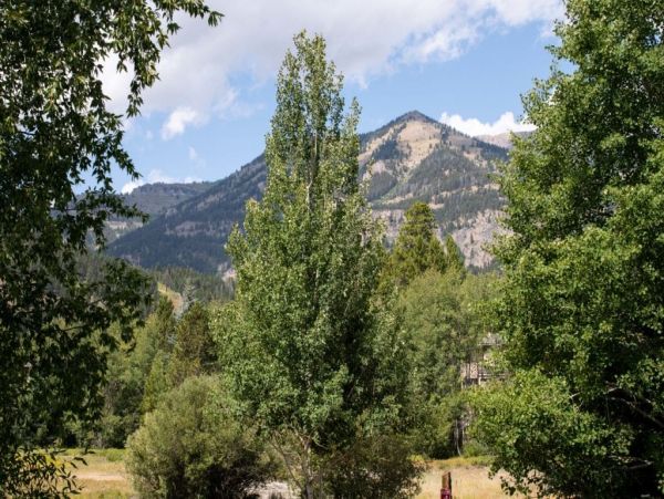 Jackson Hole Wy Home 1005186