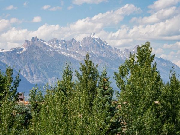 Jackson Hole Wy Home 1005194