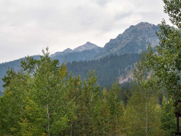 Jackson Hole Wy Home 1005208