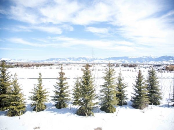 Jackson Hole Wy Home 1005215