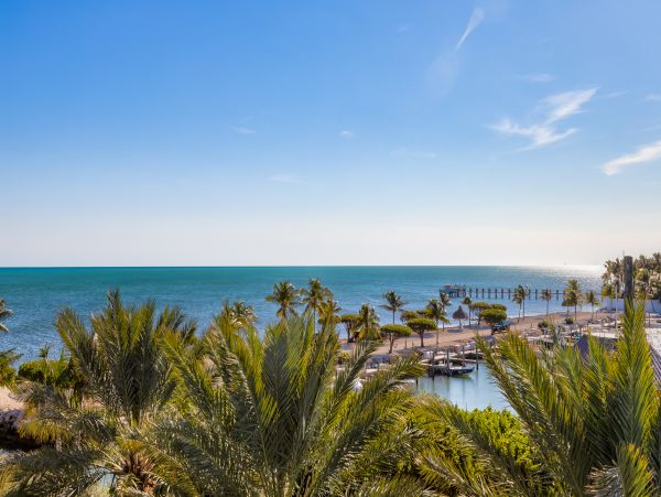 Islamorada Two Bedroom Beachfront Rental Condo Sleeps Six