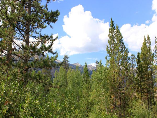 Jackson Hole Wy Home 1005264