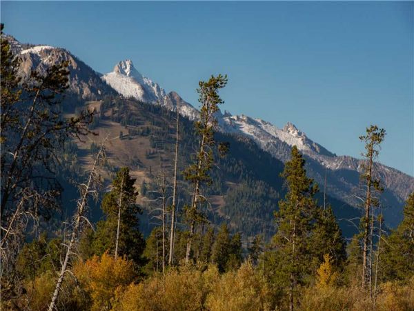 Jackson Hole Wy Home 1005266