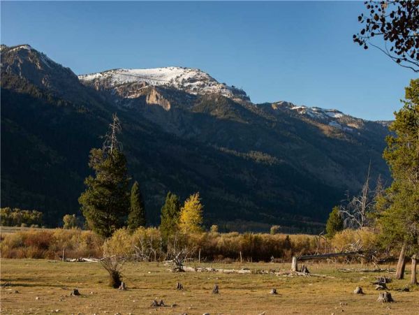 Jackson Hole Wy Home 1005266