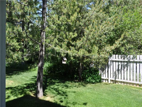 Jackson Hole Wy Home 1005270