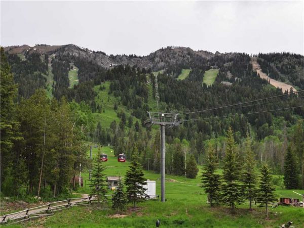 Jackson Hole Wy Home 1005273