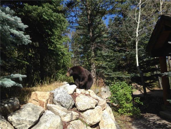 In the heart of Teton village