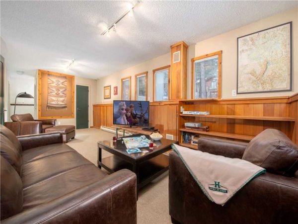 Den w/ Sofa Bed and TV