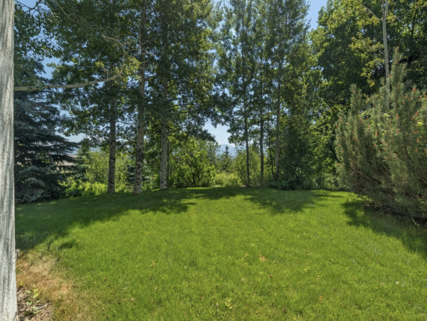 Three Bedroom Mountain View Townhome in Teton Village