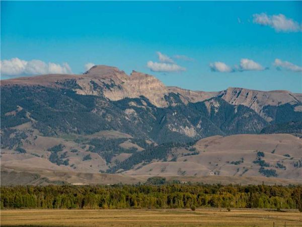 Jackson Hole Wy Home 1005306