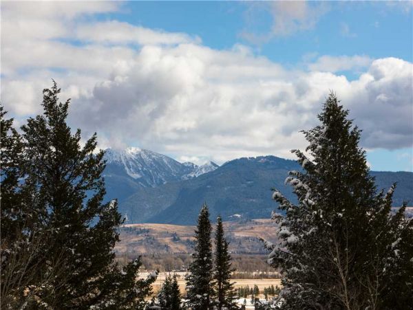 Jackson Hole Wy Home 1005310