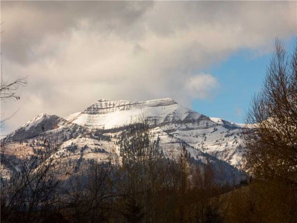 Jackson Hole Wy Home 1005310