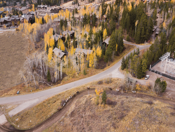 Jackson Hole Wy Home 1005324