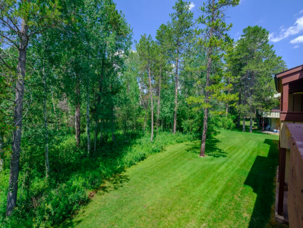 Charming 2-Bedroom +Loft Condo in Jackson Hole