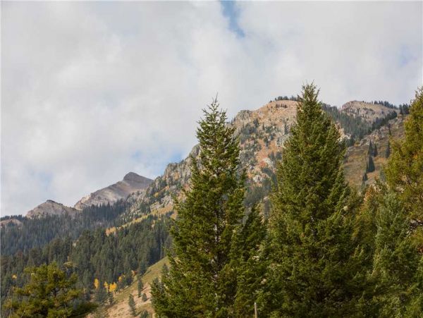 Jackson Hole Wy Home 1005330