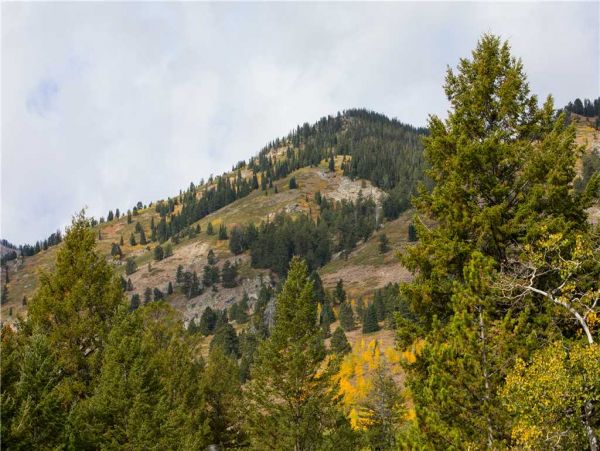 Jackson Hole Wy Home 1005330