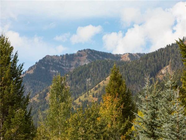 Jackson Hole Wy Home 1005330