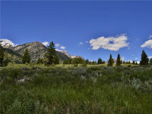 Jackson Hole Wy Home 1005335