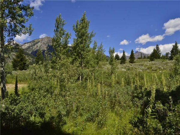 Jackson Hole Wy Home 1005335