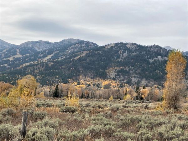 Jackson Hole Wy Home 1005335