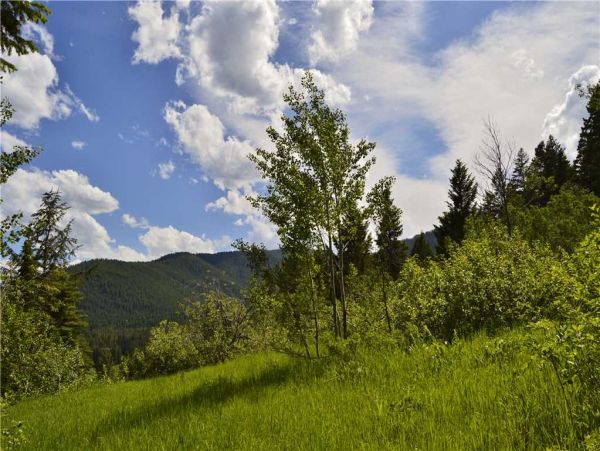 Jackson Hole Wy Home 1005341