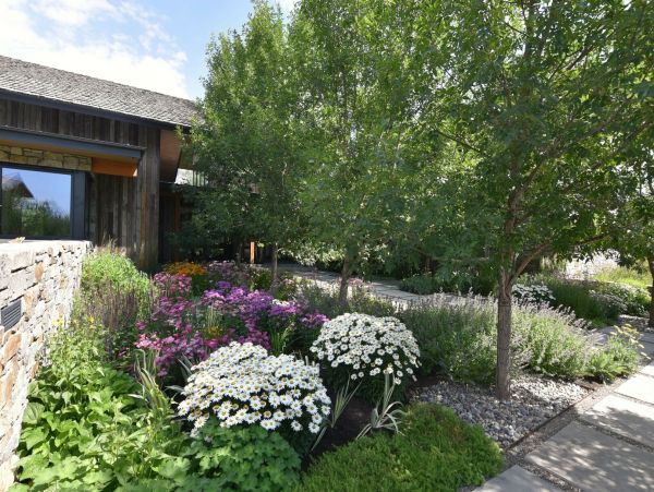 Jackson Hole Wy Home 1005353