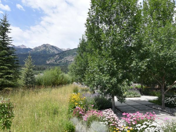 Jackson Hole Wy Home 1005353