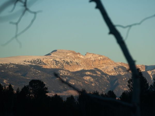 Jackson Hole Wy Home 1005356