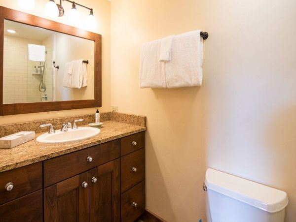 Mother-in-law Suite Bathroom