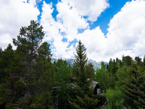 Jackson Hole Wy Home 1005371