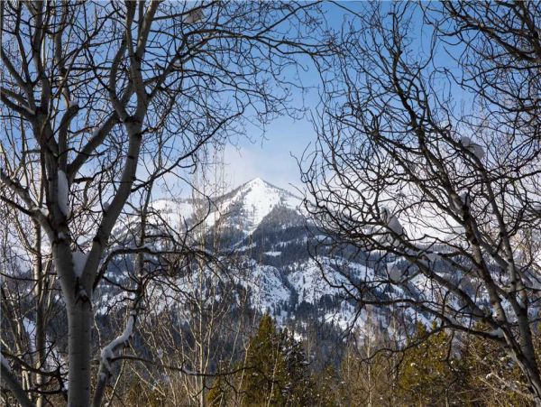 Jackson Hole Wy Home 1005371