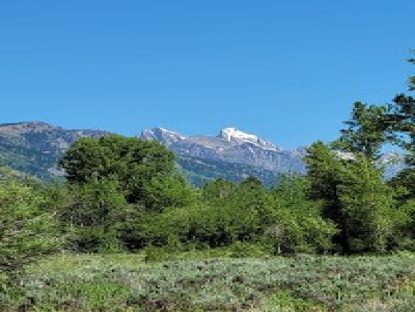Jackson Hole Wy Home 1005378