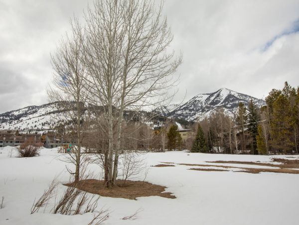 Jackson Hole Wy Home 1005379