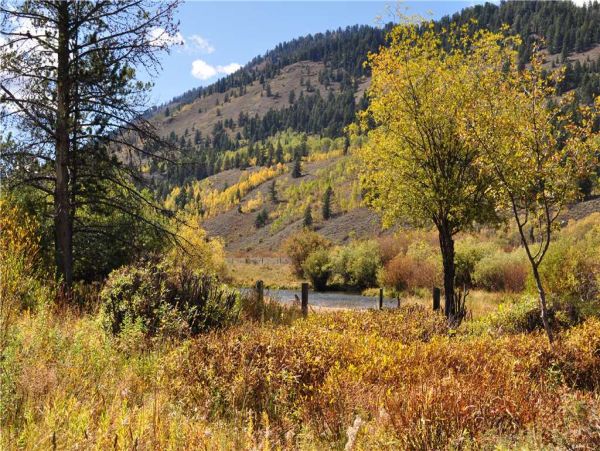 Jackson Hole Wy Home 1005385