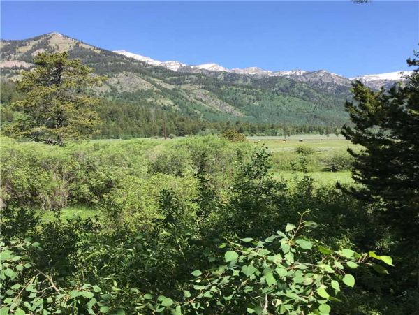 Jackson Hole Wy Home 1005387