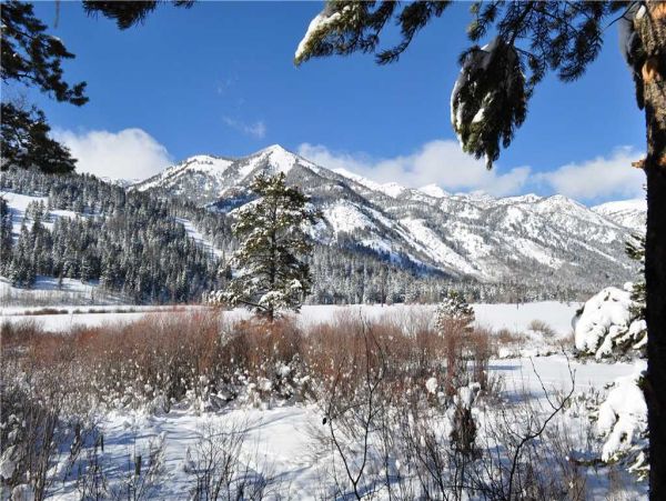 Jackson Hole Wy Home 1005387