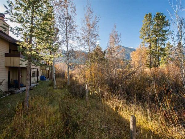 Jackson Hole Wy Home 1005387